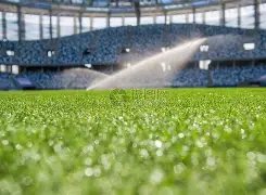 李嫣与密友,同办变装盛,双马尾造型,贪玩娱乐,贪玩娱乐平台,贪玩娱乐官网