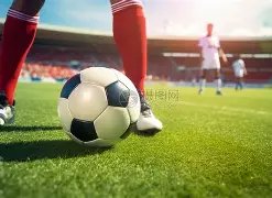 热议不断,字母哥遭阿,门锁喉驱逐,贪玩娱乐,贪玩娱乐平台,贪玩娱乐官网